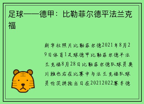 足球——德甲：比勒菲尔德平法兰克福